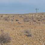 Karoo-drought-desert