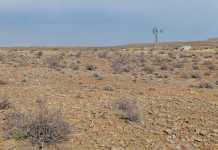 Karoo-drought-desert