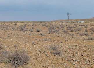 Karoo-drought-desert
