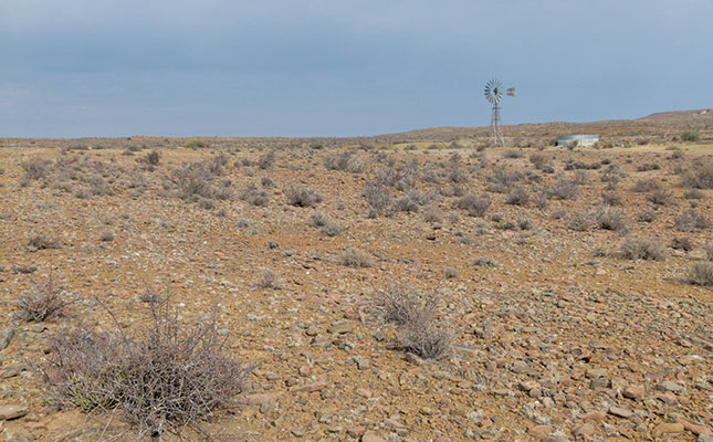 Drought-stricken Karoo farmers in dire need of fodder Drought-stricken Karoo farmers in dire need of fodder