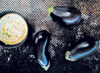 levantine-brinjal