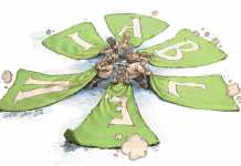 The-big-problem-with-SAs-small-farms