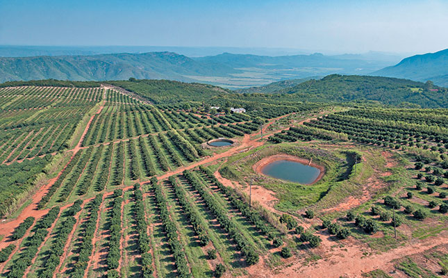 ZZ2’s, 10 000t of avocados using nature-friendly methods ZZ2’s, 10 000t of avocados using nature-friendly methods
