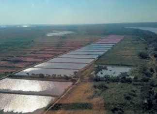 aerial-view-ponds