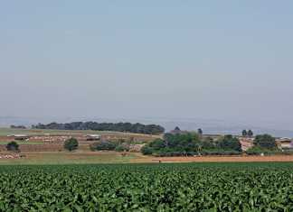 agriculture
