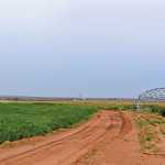 agriculture