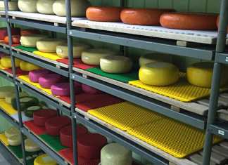 willow bend delicious cheese