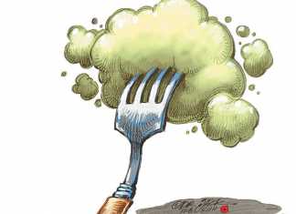curb-climate-change