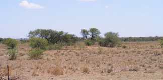 drought relief fund