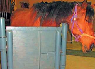 impaction-colic