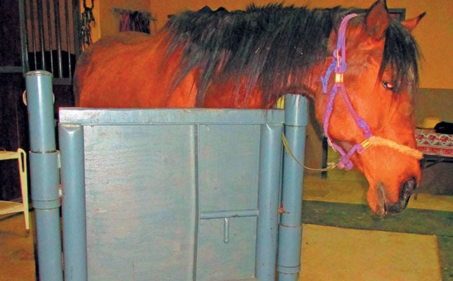 Beware of impaction colic Beware of impaction colic