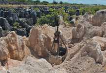 Get the best out of kraal manure phosphate-rock