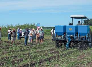 Meet the MultiTasker the-multitasker