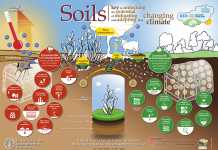 World Soil Day: conserve this precious resource world-soil-day-2016