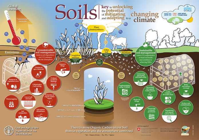 world-soil-day-2016