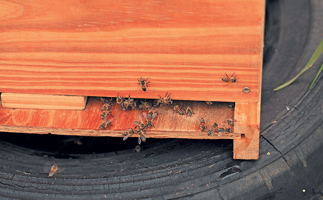 Beekeepers success with only 100 hives Beekeepers success with only 100 hives