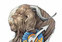 Goat-farming----time-for-SA-to-graduate-from-communal-to-commercial