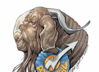 Goat-farming----time-for-SA-to-graduate-from-communal-to-commercial