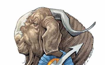 Goat-farming----time-for-SA-to-graduate-from-communal-to-commercial