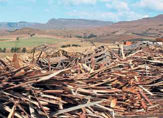 How-biorefineries-can-add-value-to-forestry-waste