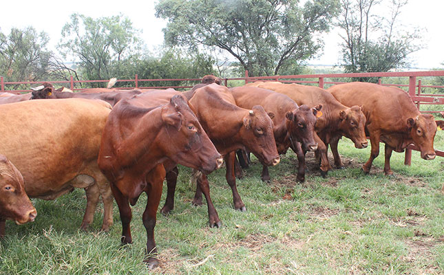 Intermediary programmes can be helpful for emerging farmers Intermediary programmes can be helpful for emerging farmers