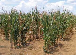 Possible-inflation-relief-for-lower-income-groups-in-2017