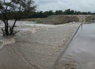 Rain-brings-partial-relief-to-Namibia-and-Botswana
