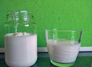 Remedy for gastric ulcers