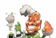 SA commercial farmers key to Africa’s food security