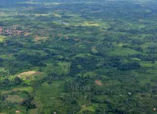 aerial-view-of-agri-land-in-liberia