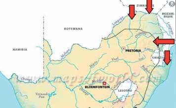 commercial-tilapia-production