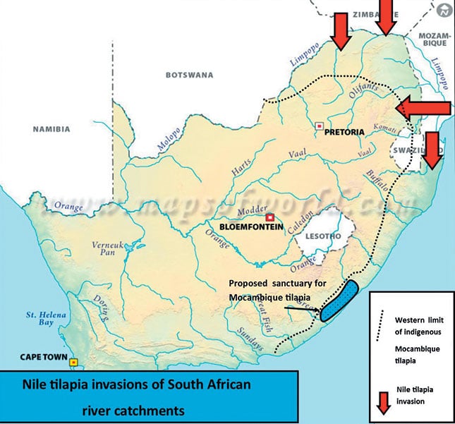 Balancing tilapia production with conservation Balancing tilapia production with conservation