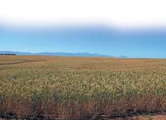 conservation-farming-1
