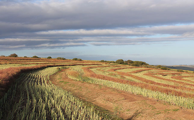 Predicting the future of farming Predicting the future of farming
