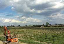 farming-in-poland-1