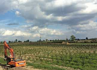farming-in-poland-1