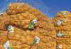 Botswana faces fresh produce shortage fresh-produce-shortage