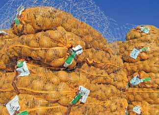 fresh-produce-shortage