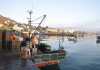 Fishing company interdicts DAFF on inshore trawl permits fish-farming