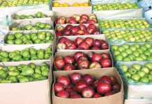 SA’s access to UK’s post-Brexit markets not 'guaranteed'