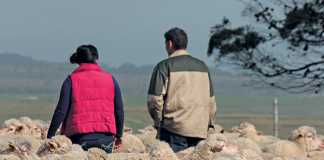 global farming challenges