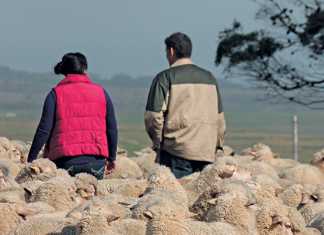 global farming challenges
