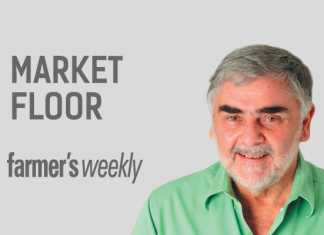 Mike Cordes - Market Floor