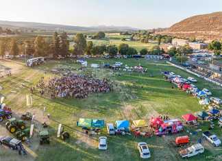 World record achieved on National Rooibos Day national-rooibos-day