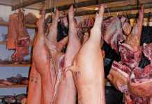 DAFF lifts pork export ban on Brazil pork export