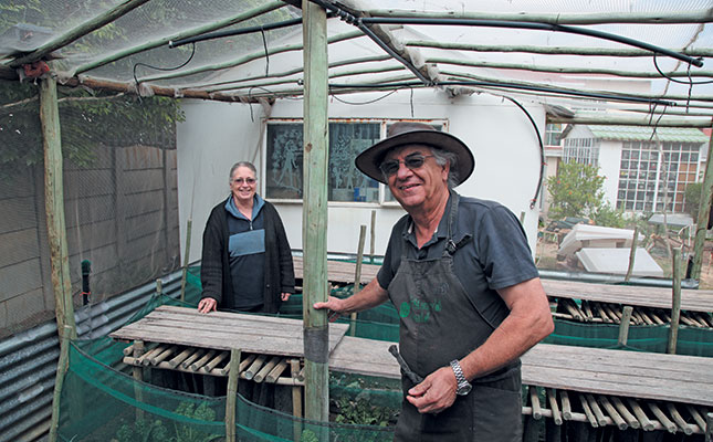 Snail farming: making good use of a small space Snail farming: making good use of a small space
