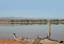 Transparency in water quality reports water-quality