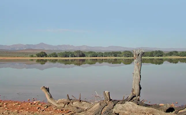 water-quality