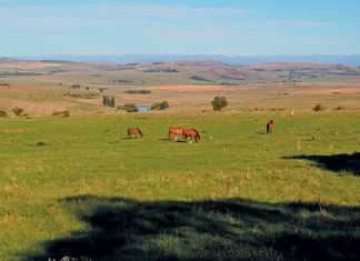 AHS: 2017 Western Cape restrictions in force