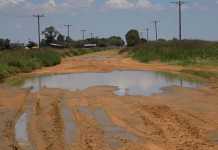 Dineo more blessing than curse for eastern SA farmers Dineo more blessing than curse for SA farmers